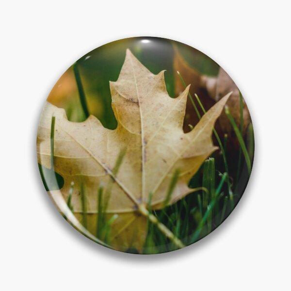 Item preview, Fallen Leaves designed and sold by ShelleyTamara.