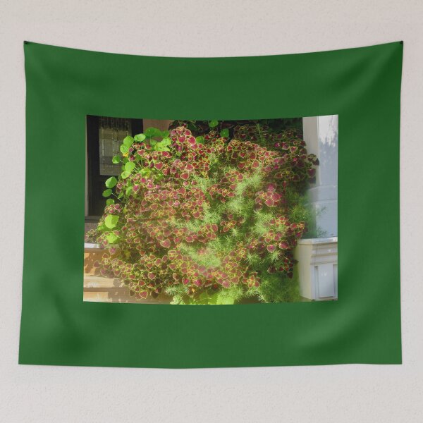 Item preview, Huge Planter designed and sold by Shulie1.