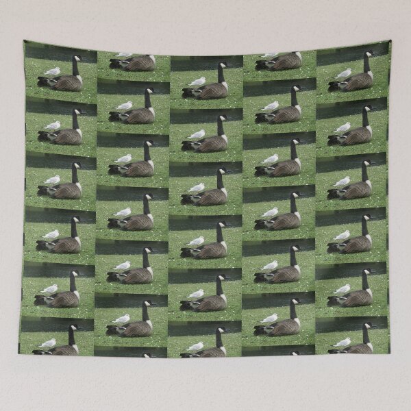 Item preview, Canada Goose and Gull Friend Photograph designed and sold by naturegallery.