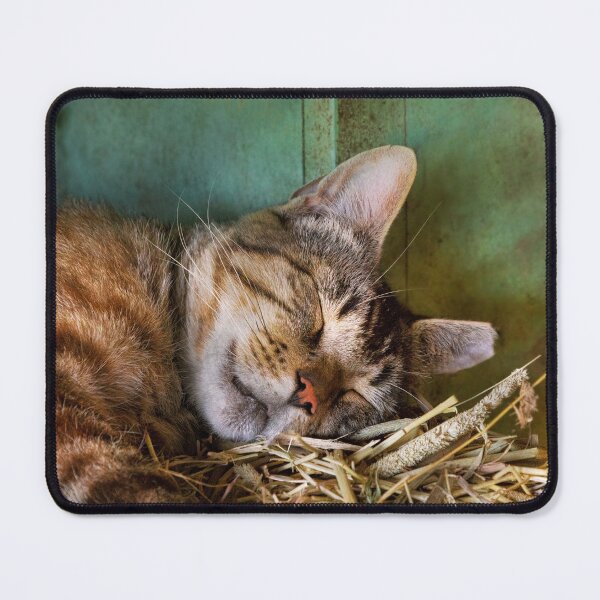Item preview, Animal - Cat - Cat nap designed and sold by Mike Savad Photography.