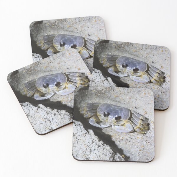 Item preview, Crab on beach designed and sold by Jessica Tipton.