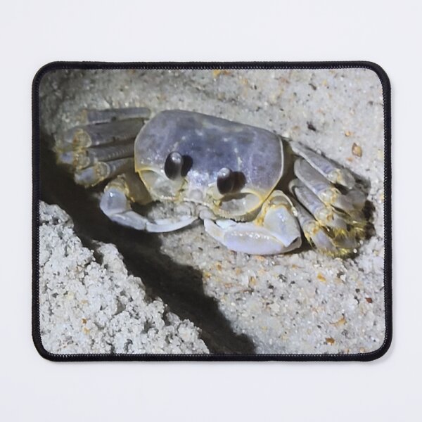 Item preview, Crab on beach designed and sold by Jessica Tipton.