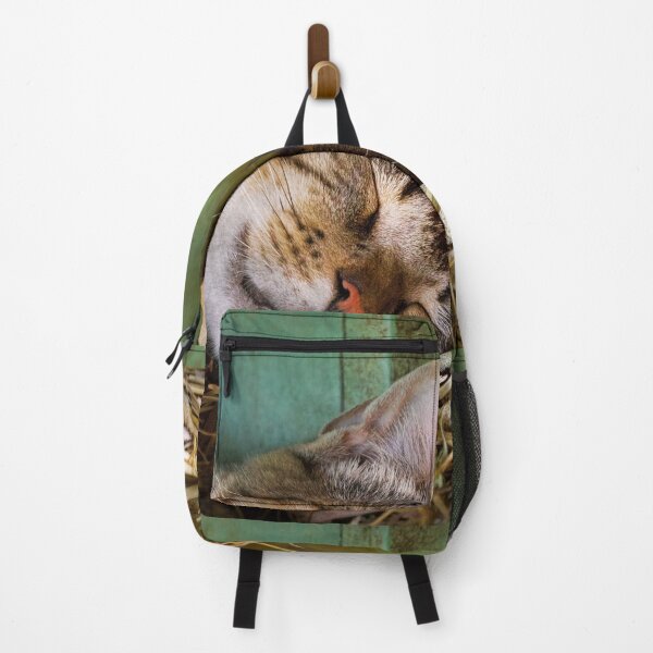 Item preview, Animal - Cat - Cat nap designed and sold by Mike Savad Photography.
