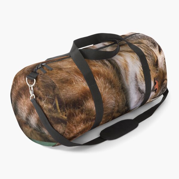 Item preview, Animal - Cat - Cat nap designed and sold by Mike Savad Photography.