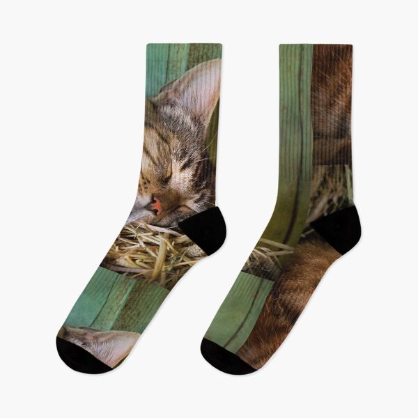 Item preview, Animal - Cat - Cat nap designed and sold by Mike Savad Photography.