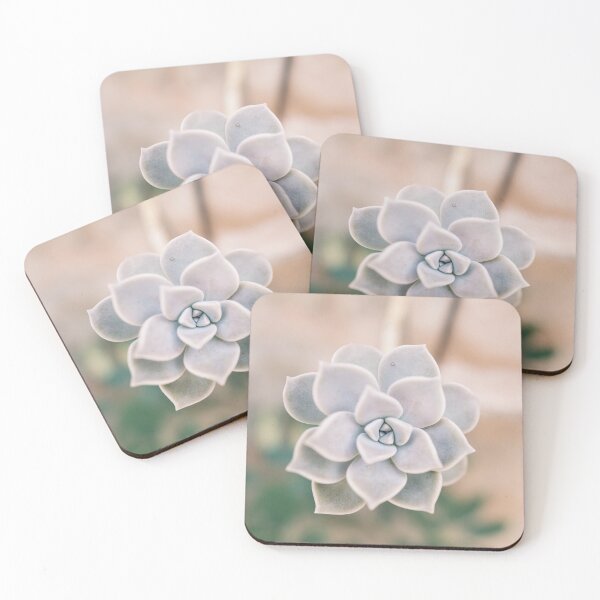 Item preview, Pastel Pearl Echeveria close up designed and sold by mhailittlearts.