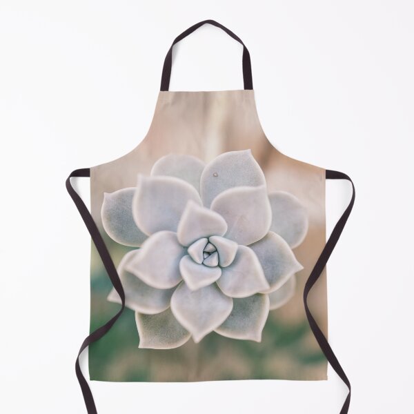 Item preview, Pastel Pearl Echeveria close up designed and sold by mhailittlearts.