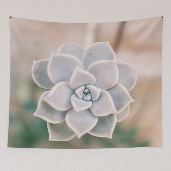 Item preview, Pastel Pearl Echeveria close up designed and sold by mhailittlearts.