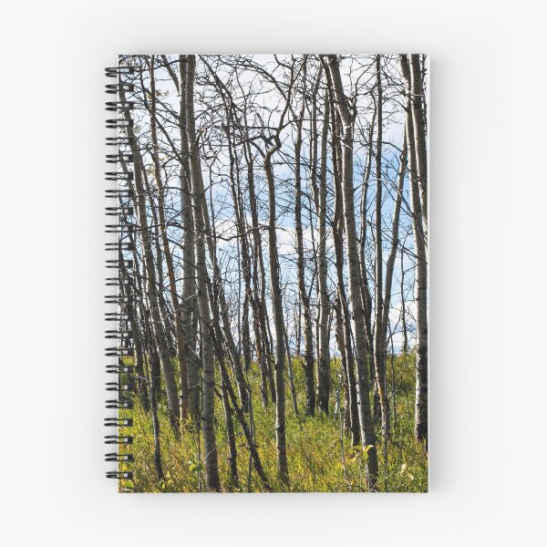 Item preview, Foothill scenes designed and sold by CanadianWild418.
