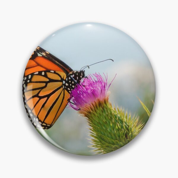Item preview, Butterfly - All hail the monarch designed and sold by Mike Savad Photography.