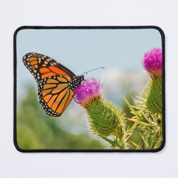Item preview, Butterfly - All hail the monarch designed and sold by Mike Savad Photography.