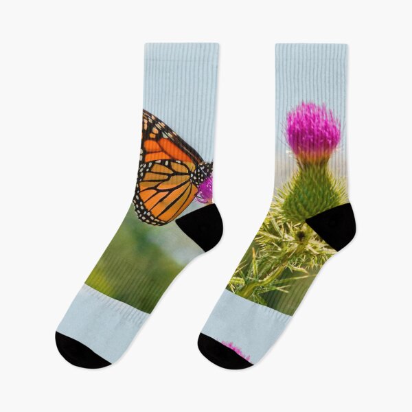 Item preview, Butterfly - All hail the monarch designed and sold by Mike Savad Photography.
