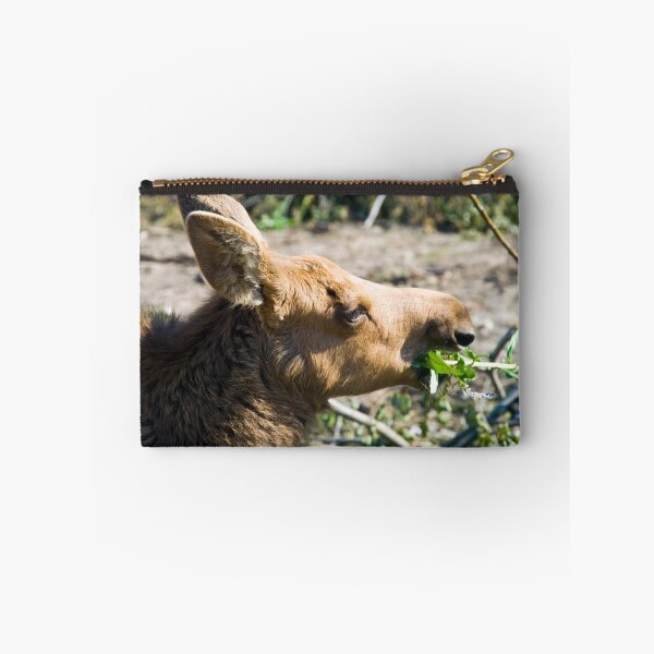 Item preview, Moose Calf designed and sold by Caren della Cioppa.