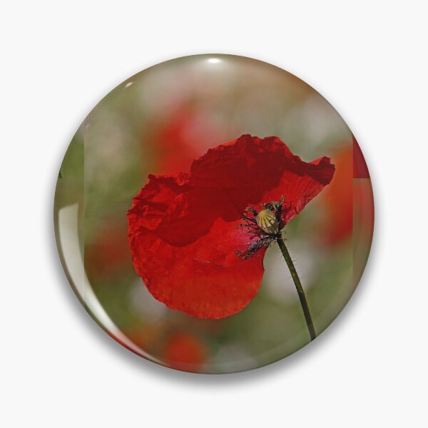 Item preview, r3061/  " un Coquelicot, un coup de Vent le Décoiffe ! "  par Okaio Créations  Olavia - Olao designed and sold by o.okaïo.
