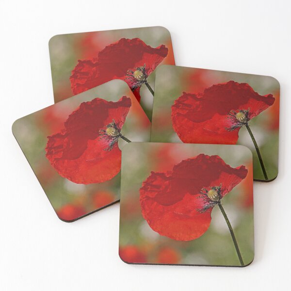 Item preview, r3061/  " un Coquelicot, un coup de Vent le Décoiffe ! "  par Okaio Créations  Olavia - Olao designed and sold by o.okaïo.