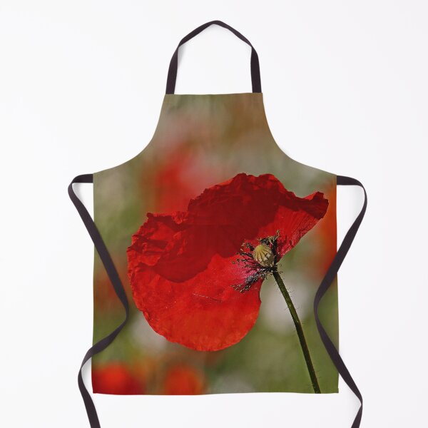 Item preview, r3061/ " un Coquelicot, un coup de Vent le Décoiffe ! " par Okaio Créations Olavia - Olao designed and sold by o.okaïo.