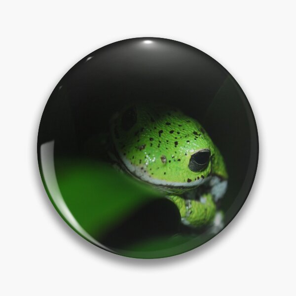 Item preview, Green Frog  designed and sold by ScatteredBeams.