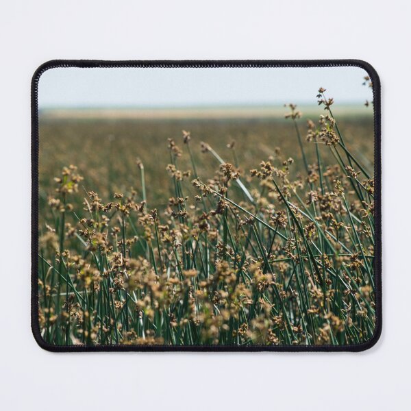 Item preview, Prairie Scene in the Foothills. designed and sold by CanadianWild418.