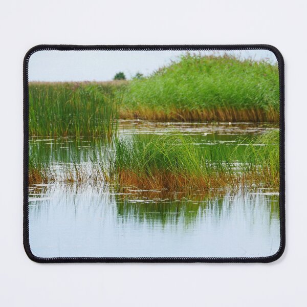 Item preview, lake overgrown with sedge and reeds designed and sold by mrivserg.