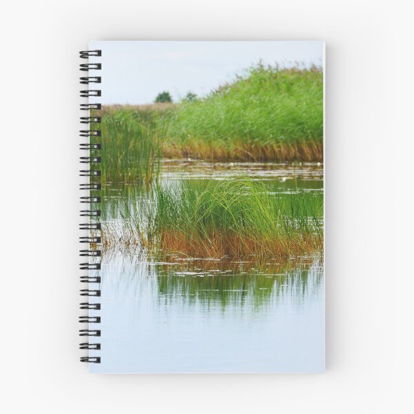Item preview, lake overgrown with sedge and reeds designed and sold by mrivserg.