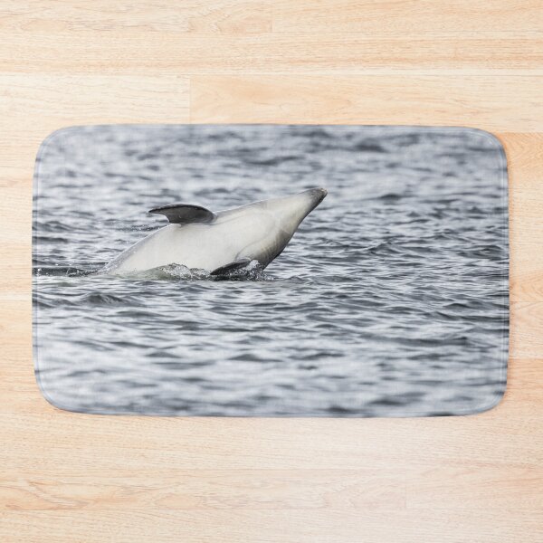Item preview, Wild bottlenose dolphin designed and sold by chanonry.