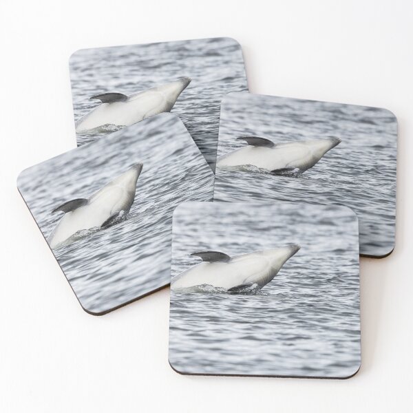 Item preview, Wild bottlenose dolphin designed and sold by chanonry.