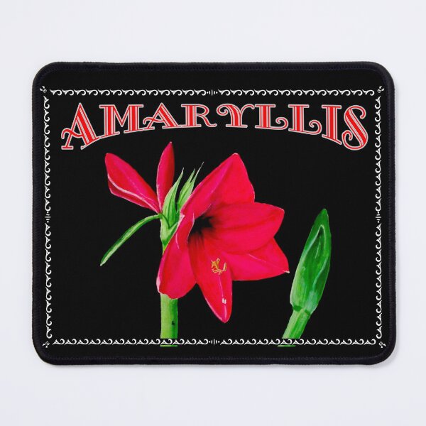 Item preview, Amaryllis Label designed and sold by PaintedbyCarol.