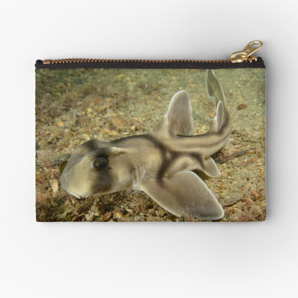 Juvenile Port Jackson Shark - Heterodontus portusjacksoni Zipper Pouch