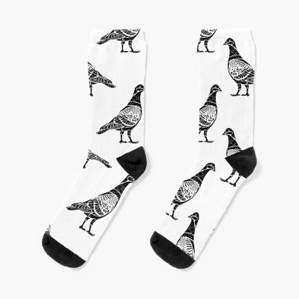 Taube | Pigeon | Stadttaube T-Shirt Socken