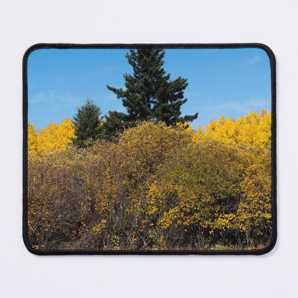 Item preview, Fall in Alberta designed and sold by CanadianWild418.