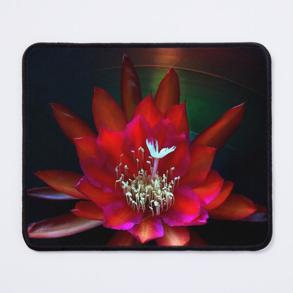 Item preview, A Shining Example designed and sold by Michael May.