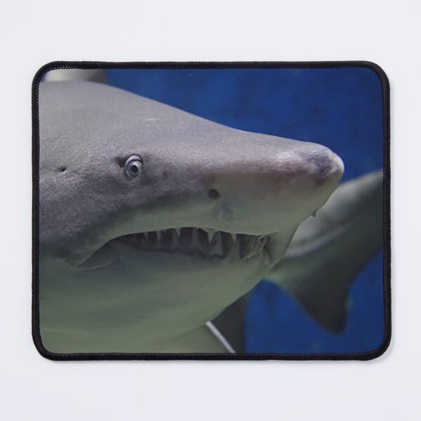 Item preview, Great White Shark, Shark swimming in ocean, shark teeth, man eating shark, Predator, underwater horror, Jaws  designed and sold by Nostrathomas66.