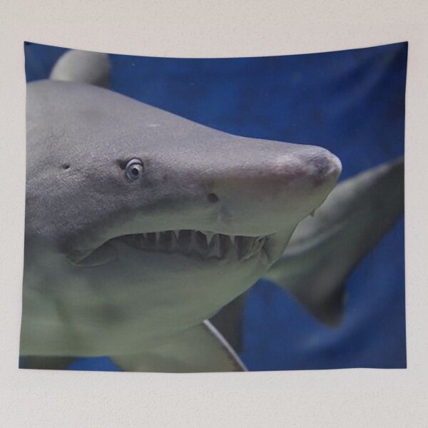 Item preview, Great White Shark, Shark swimming in ocean, shark teeth, man eating shark, Predator, underwater horror, Jaws  designed and sold by Nostrathomas66.