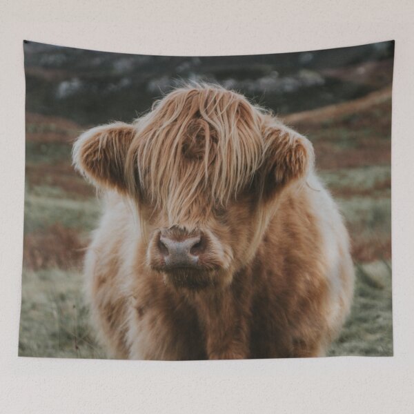 Item preview, Highland Cow designed and sold by Michelle Moss.