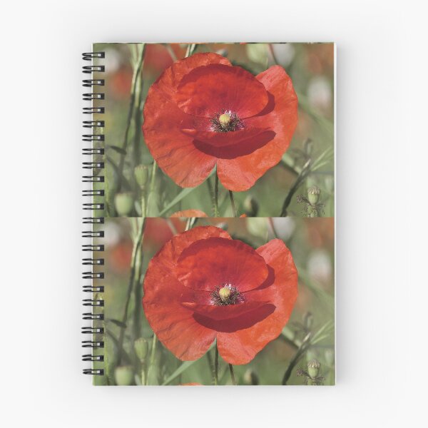 Item preview, r3062/  " un Coquelicot donne un bisous ! "  par Okaio Créations  Olavia - Olao designed and sold by o.okaïo.