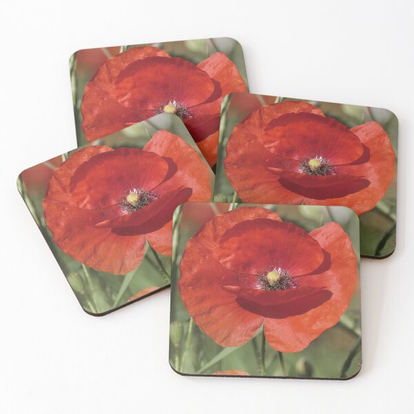Item preview, r3062/  " un Coquelicot donne un bisous ! "  par Okaio Créations  Olavia - Olao designed and sold by o.okaïo.