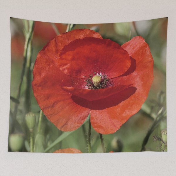 Item preview, r3062/  " un Coquelicot donne un bisous ! "  par Okaio Créations  Olavia - Olao designed and sold by o.okaïo.