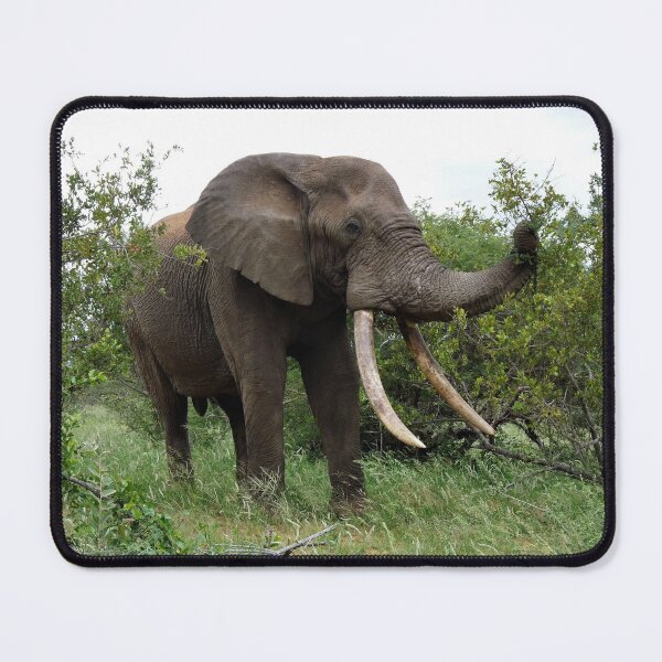 Item preview, Ezulwini the gentle giant designed and sold by pennies4eles.