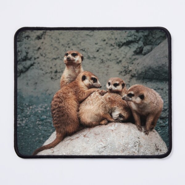 Item preview, Meerkats designed and sold by Laura Nagel.