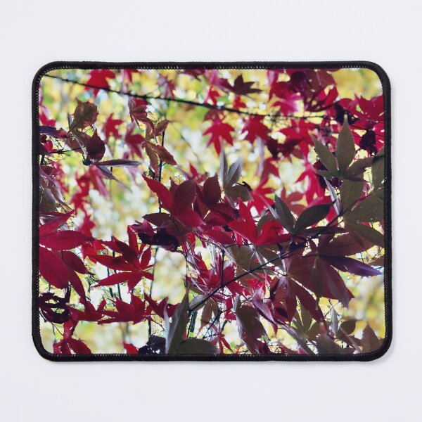 Item preview, Red and Yellow Autumn Foliage designed and sold by Sershni.