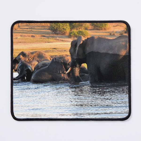 Item preview, Sunset shenanigans! designed and sold by pennies4eles.