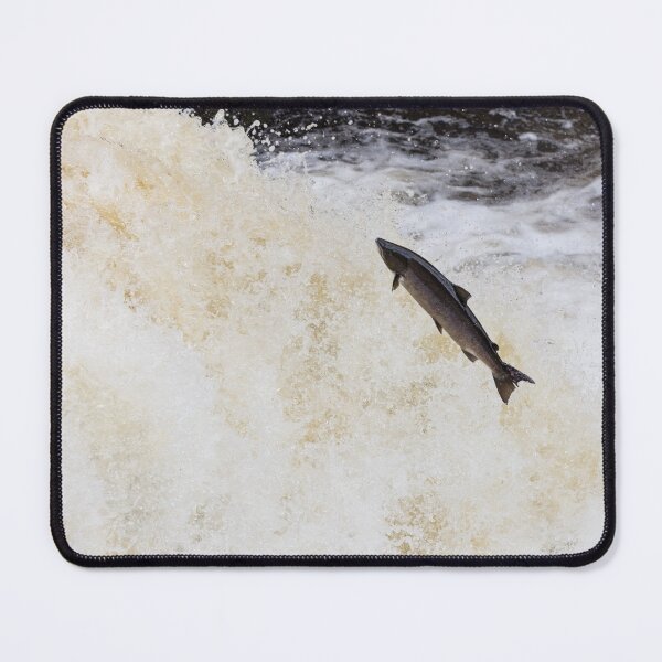Item preview, Leaping Atlantic wild salmon designed and sold by chanonry.