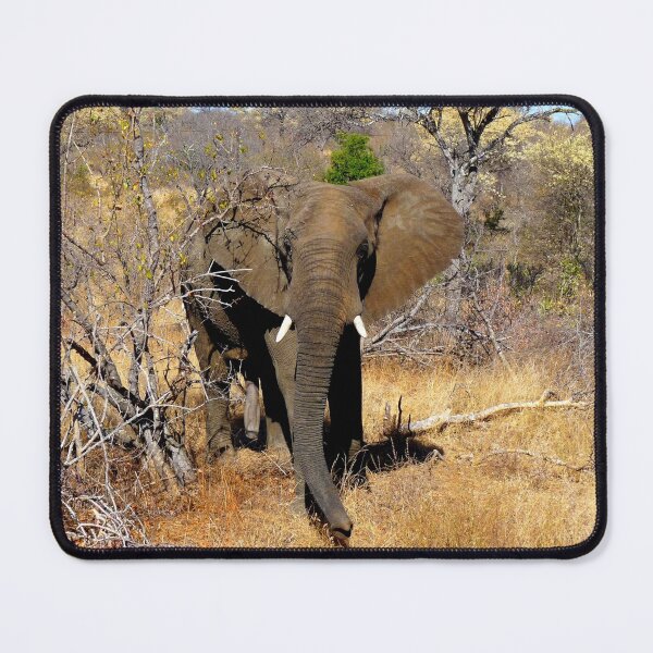 Item preview, And who might you be? designed and sold by pennies4eles.