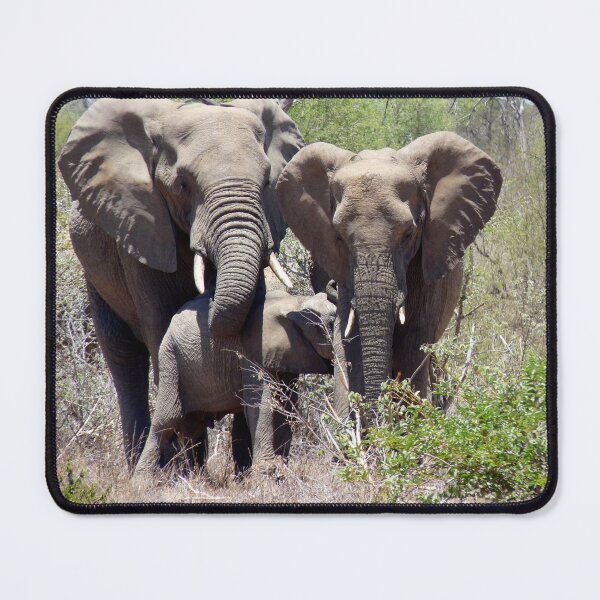 Item preview, Generations designed and sold by pennies4eles.