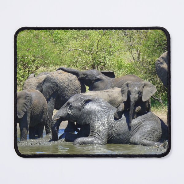 Item preview, Bathing Beauties. designed and sold by pennies4eles.