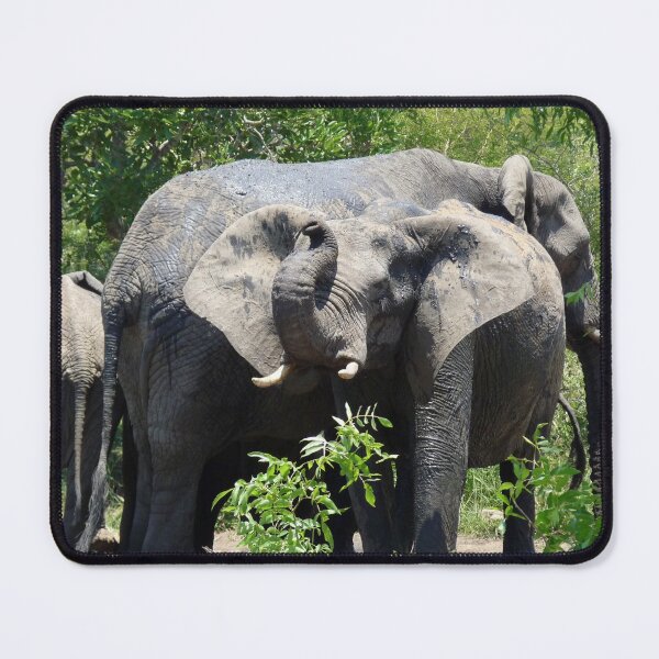 Item preview, Salutations! designed and sold by pennies4eles.