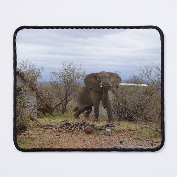 Item preview, It was a bit of a surprise when the new volunteer arrived in camp.... designed and sold by pennies4eles.