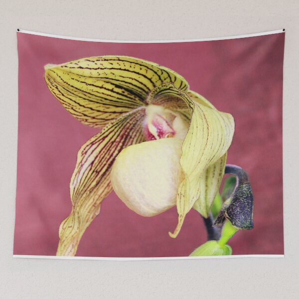 Item preview, Looking A Bit Dog-eared designed and sold by Michael May.