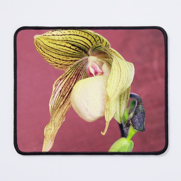 Item preview, Looking A Bit Dog-eared designed and sold by Michael May.