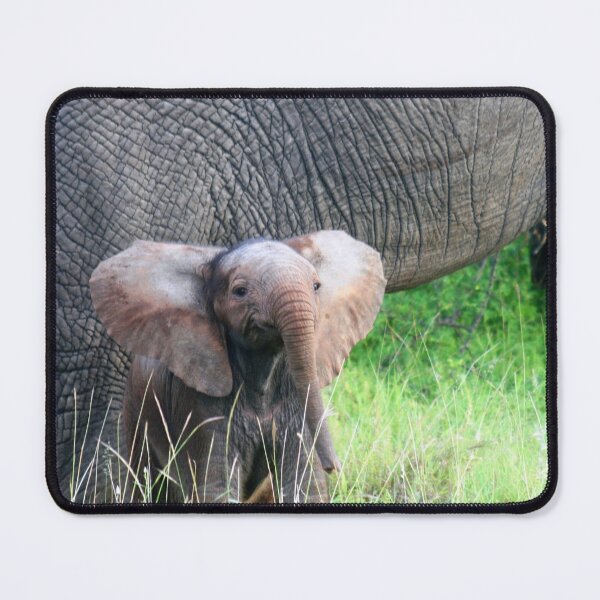 Item preview, Hello World!! designed and sold by pennies4eles.